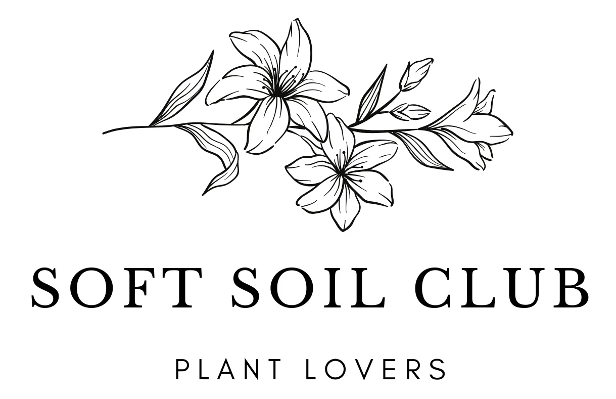 소프트소일클럽 | 식물 | 식집사 | 마음돌봄